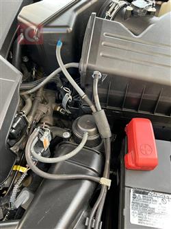 تويوتا أفالون